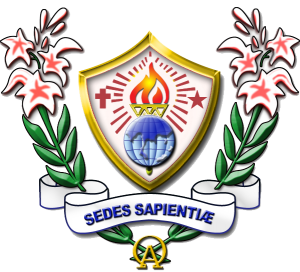 Sarasas Logo